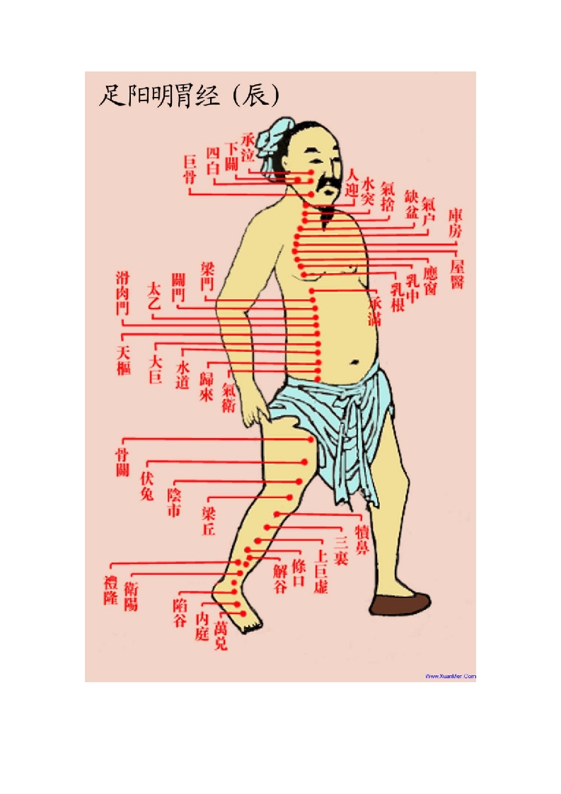 道家彩色经络全图-知命悟气